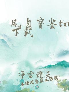 风月宝鉴txt下载