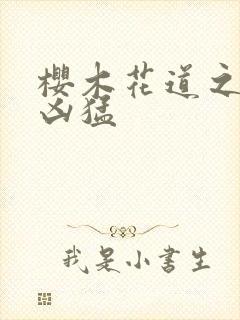 樱木花道之重生凶猛