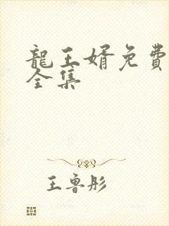 龙王婿免费完结全集