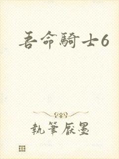 吾命骑士6
