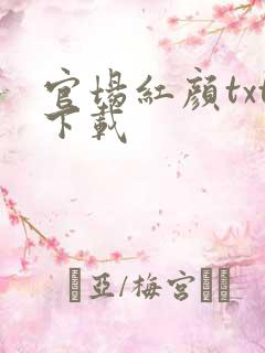 官场红颜txt下载