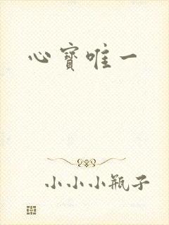 心宝唯一
