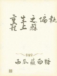 重生之偏执老公宠上瘾