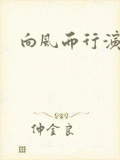 向风而行演员表