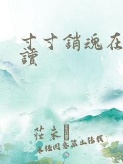 寸寸销魂在线阅读