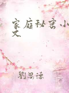 家庭秘密小说全文