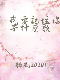 我要记住你的样子什么歌