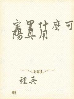 家里什么可以当阳具用