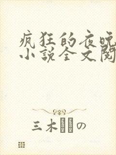 疯狂的夜晚苏柔小说全文阅读