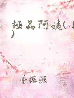 极品阿姨(小说)