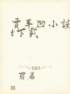 贾平凹小说txt下载