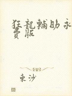 狂龙辅助永久免费版