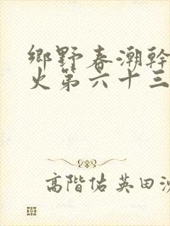 乡野春潮干柴烈火第六十三章