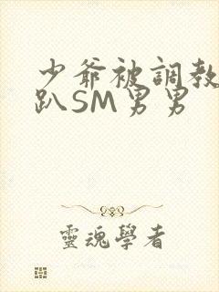 少爷被调教室跪趴SM男男