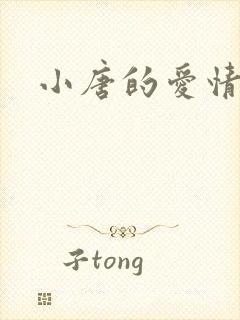 小唐的爱情史