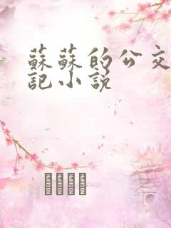 苏苏的公交车日记小说