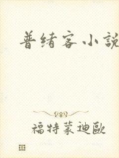 普绪客小说