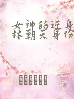 女神的近身护卫林朝天身份