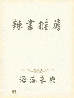 辣书推荐