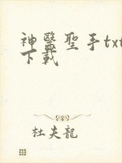 神医圣手txt下载
