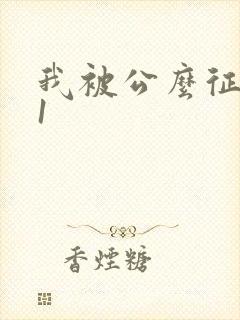 我被公么征服了1