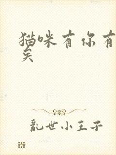 猫咪有你有我足矣