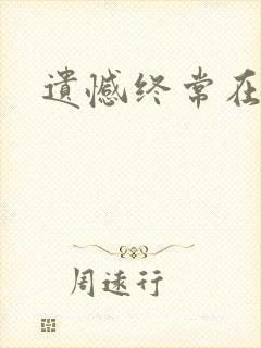 遗憾终常在小说