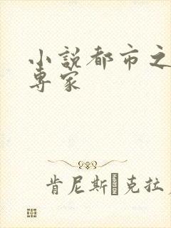 小说都市之军火专家