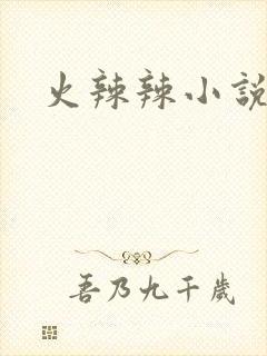 火辣辣小说全集