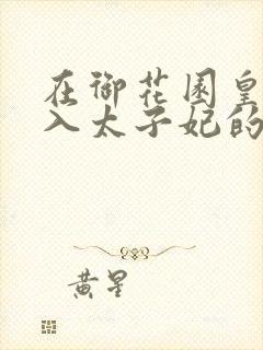 在御花园皇上进入太子妃的小说