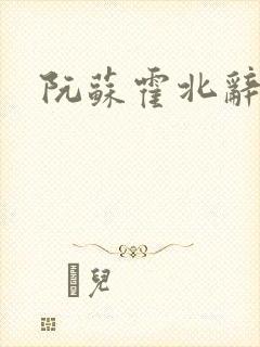 阮苏霍北辞小说