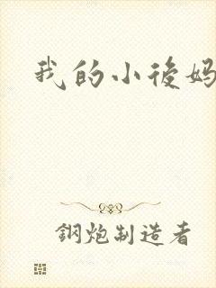我的小后妈小说