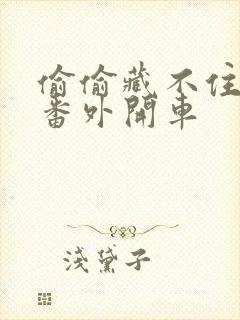 偷偷藏不住婚后番外开车