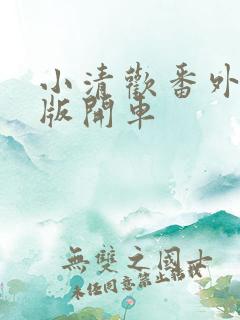 小清欢番外完整版开车