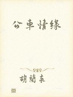 公车情缘