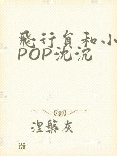 飞行员和小空乘POP沈沉