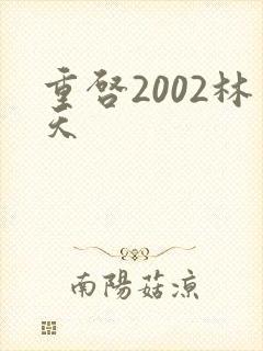重启2002林天