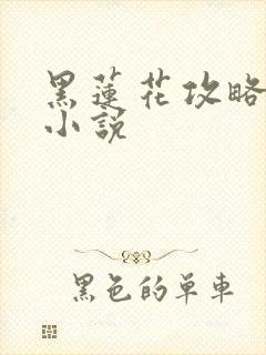 黑莲花攻略手册小说