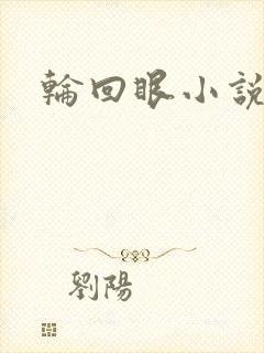 轮回眼小说