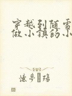 穿越到随处可以做小镇的小说