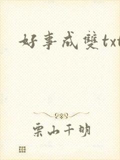 好事成双txt
