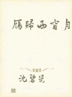 雁归西窗月小说