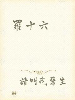 罗十六
