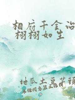 相府千金治病记 栩栩如生