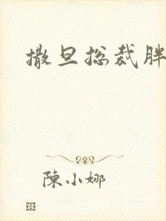 撒旦总裁胖前妻