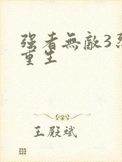 强者无敌3烈火重生