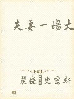 夫妻一场大结局