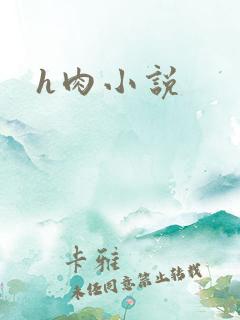 h肉小说