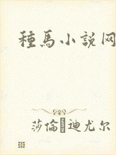 种马小说网