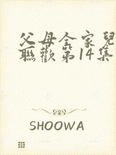 父母全家儿女大联欢第14集